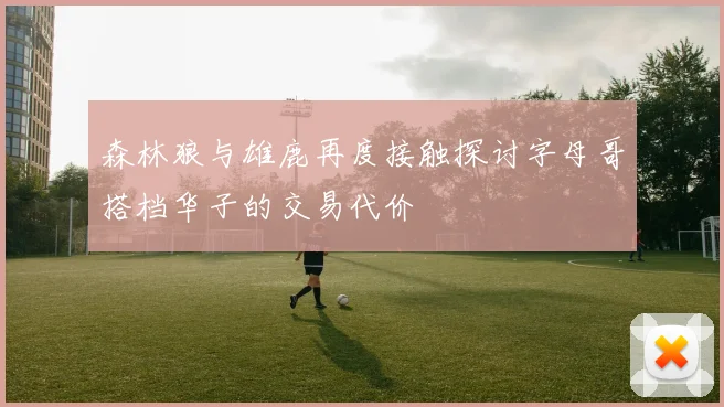 森林狼与雄鹿再度接触探讨字母哥搭档华子的交易代价